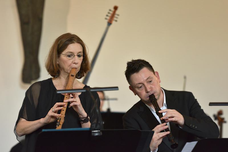 S. Hochscheid und M. Steger
