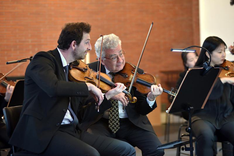 Violine 1 der NPW
